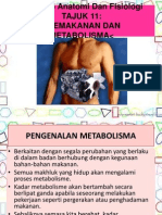 Metabolisme Dan Pemakanan