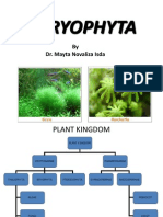 BRYOPHYTA