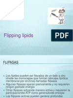 Flipping lipds

