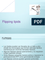 Flipping Lipds