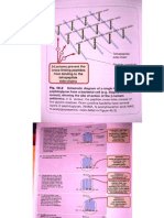 Cefalosporine Macrolide Lincos Aminoglic