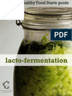 Lacto Fermentation Ebook