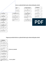 Diagrama Procesului de Fabricare A Pâinei Din Făină de Grâu Calitatea Întâia