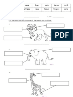 Animals Body Parts Exercise and Wordsearch