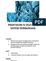 Sistem Pernafasan Praktikum IV 2003