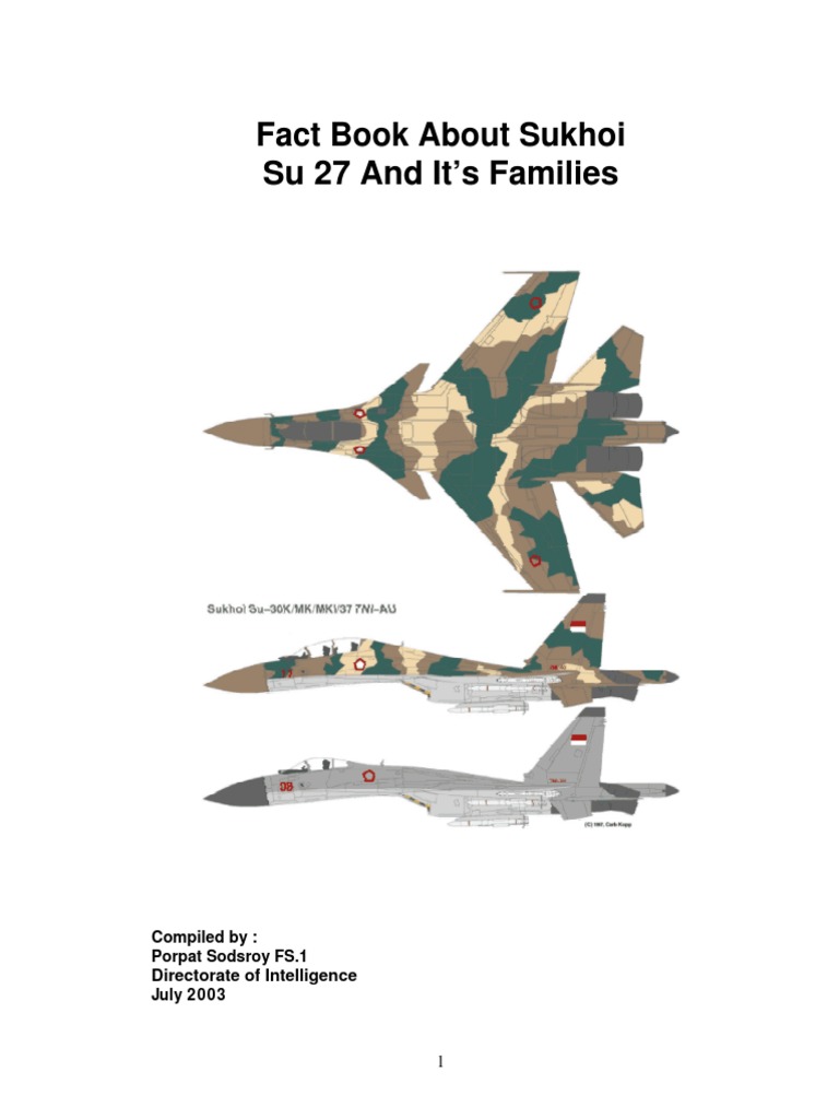 Sukhoi Su-27: Overview and Variants | PDF | Fighter Aircraft | Aviation
