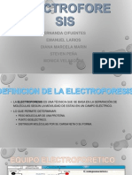 Electroforesis Final