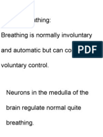 Control Breathing: Breathing Is Normally Involuntary and Automatic But Can Come Under Voluntary Control