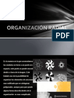 Organización Radial 111