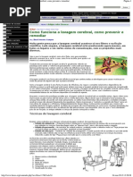 [Instituto Luzes] Como Funciona a Lavagem Cerebral, Como Prevenir e Remediar