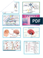 Biologia y Administracion