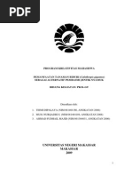 Download PEMANFAATAN biduri by Uzmil Arifa SN216663786 doc pdf