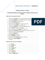 Grammar Exercises - Plurals: Marin Choque, Erik Amilcar