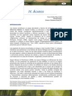 Acaros Del Mango PDF