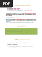 Digestorio e Respiratorio