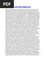 Download Bakteri Lactobacillus Bulgaricus by Nawa A-Rohmah Arusqo SN216711938 doc pdf