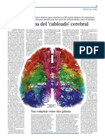 El Mejor Mapa Del Cableado' Cerebral