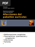 Download Afecciones del pabelln auricular by PANKEKAS SN21674265 doc pdf
