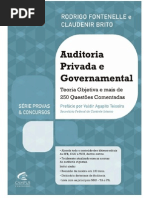 Auditoria Provada e Governamental
