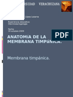 Anatomía de La Membrana Timpánica