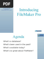 FileMaker 101