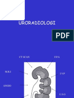 Uro Radiologi