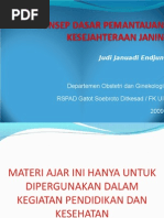 Download Konsep Dasar Pemantauan Kesejahteraan Janin JJE 20090622 by Judi Januadi Endjun MD ObsGyn SN21678704 doc pdf