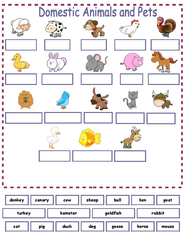 Domestic Animals | PDF