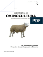 Manual Cria Ovinos Produccion Carne