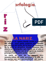 Expocision Morfologia de La Nariz y Boca