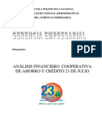 TRABAJO_ANALISIS_FINANCIERO_2010.docx