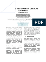 Células Vegetales y Células Animales Practica 2