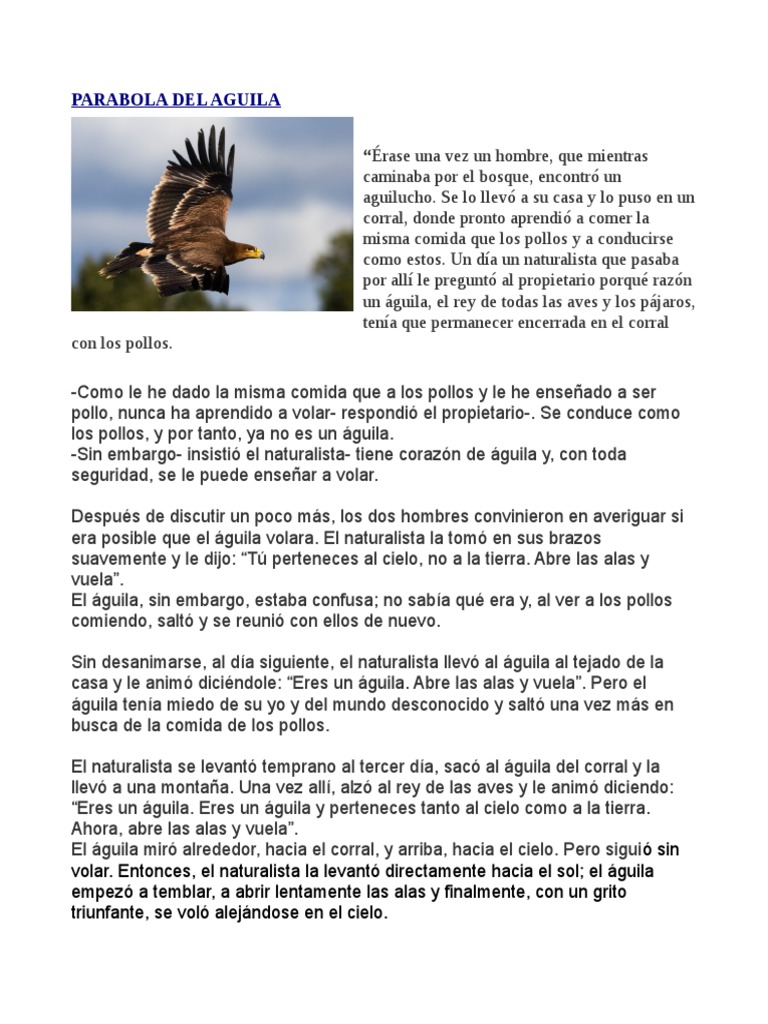 Aguila y Naturalista | PDF | Pollo | Creatividad
