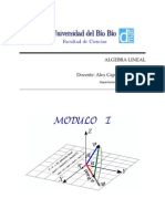 Linear Algebra Modulo 01