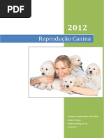 Reproducao Canina