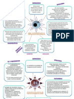 Mapas Conceptuales Liz