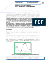 HIDROLOGÍA DEL PÁRAMO ANDINO