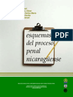 Todo+Sobre+El+Proceso+Penal.desbloqueado