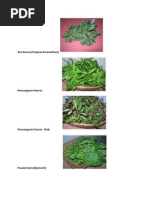 Download Keeraigal Name and Picture by Subramani Anandan SN216943839 doc pdf