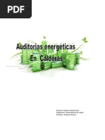 Auditoría Energetica en Calderas