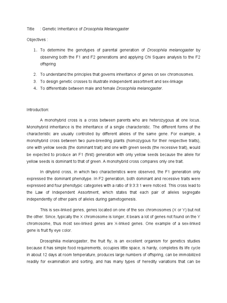 Drosophila Melanogaster Genetic Crosses | PDF | Dominance (Genetics ...