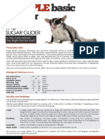 Sugar Glider Care Sheet