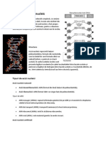 Acid Nucleic