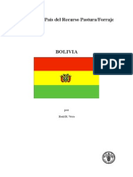 Bolivia Spanish