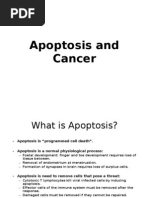 Download Apoptosis and Cancer by priyaa SN21700321 doc pdf