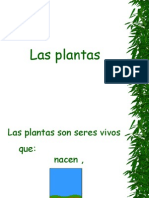 Las Plantas 3