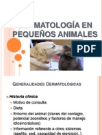 Dermatología en Pequeños Animales