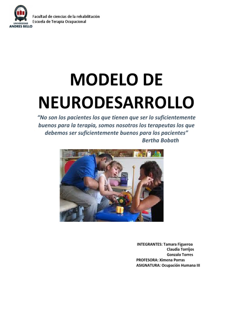 Total 82+ imagen modelo del neurodesarrollo en terapia ocupacional