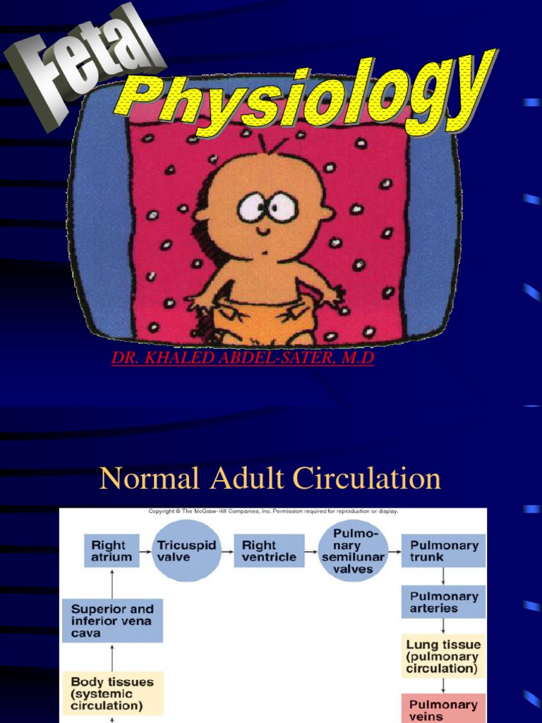 Fetal Physiology | PDF