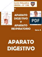 sistemadigestivoyrespiratorio3eroa-110118212211-phpapp01